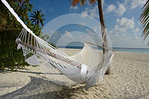 Hammock