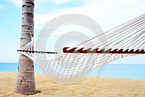 Hammock