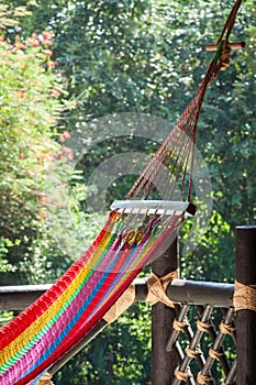 Hammock