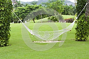 Hammock