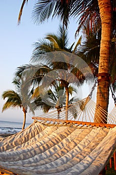 Hammock