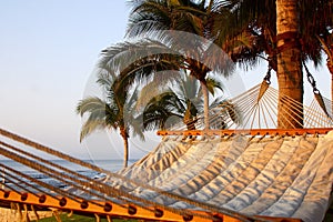 Hammock