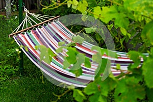 Hammock