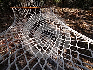 Hammock