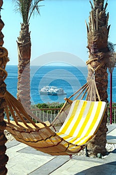 Hammock against Red Sea