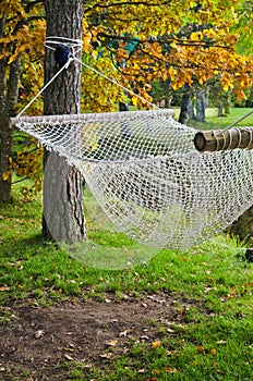 A hammock in autumn Park