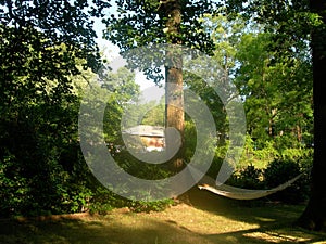 Hammock in backyard