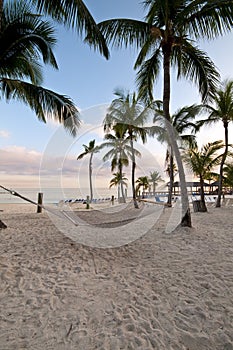 Hammock in the beach