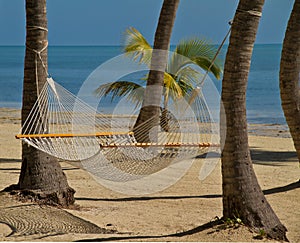 Hammock on the beach