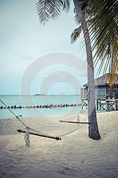 Hammock on the beach