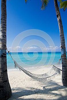 Hammock at the beach