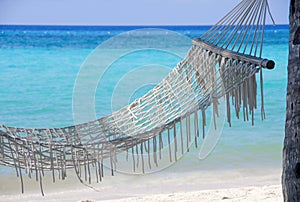 Hammock at the beach