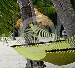 Hammock on beach in Florida Keys