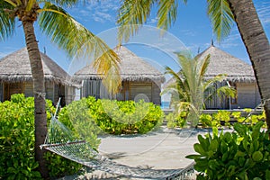 Hammock on the beach at Maldives