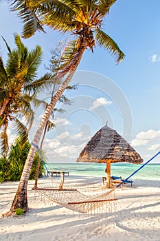 Hammock on the beach set between two trees with shadow on white