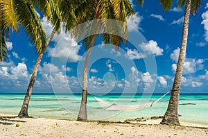 Hammock in a beach in Tikehau