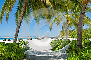 Hammock on the beautiful beach at Maldives