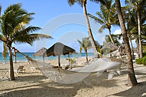 Hammock in the Caribbean