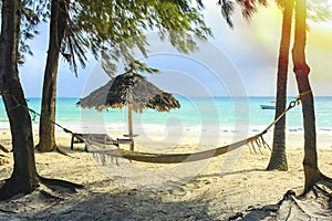 Hammock, chair and umbrella beach equipment made of natural materials at a tropical beach