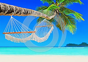 Hammock on coconut palm at tropical sandy ocean beach island