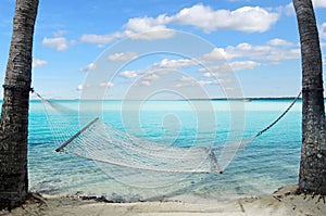 Hammock on coconut trees in tropical Island