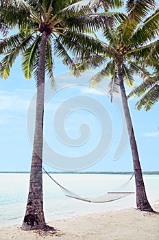 Hammock on coconut trees in tropical Island