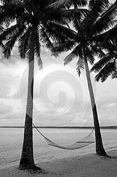 Hammock on coconut trees in tropical Island