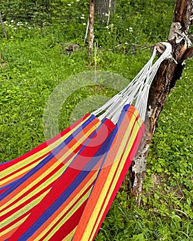 hammock, fabric hammock hanging on the plot, relax in the open air, rag bed hung between trees