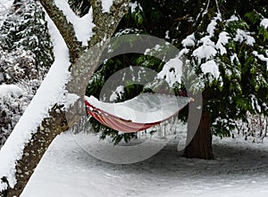 Hammock filled with snow