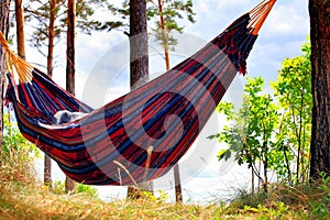 Hammock in the Forest