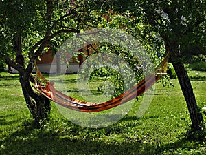 Hammock in the garden