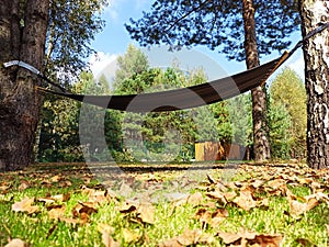 Hammock in the garden