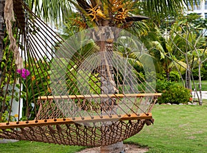 Hammock in the garden