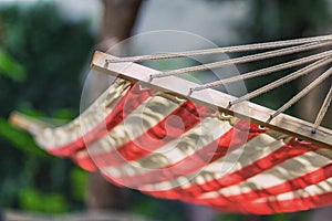 Hammock in garden