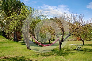 Hammock in the garden of family hotel in Provence