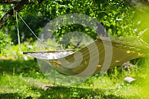Hammock in the garden shade for relaxation