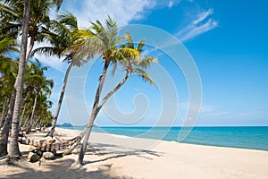 hammock hang on palm tree in tropical beach