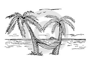 A hammock hanging in the middle of two palms. Concept of summer holidays, rest. Background of tropical trees and sea