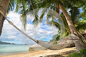 Hammock hanging between palm trees at the sandy beach and sea coast