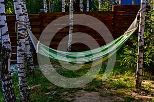 A hammock is hanging in a summer blooming garden in the backyard