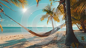 Hammock Hanging Between Two Palm Trees on a Beach