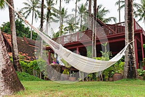 Hammock hung on palm trees for relax vacation