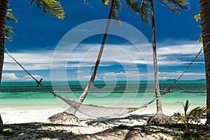 Hammock hung between palm trees on a tropical beach: