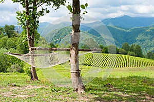 Hammock mesh hanging on a background of high-mountain tea plantation