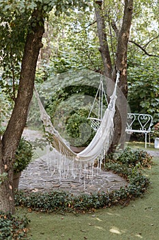 Hammock with nobody, outdoor design for summer garden