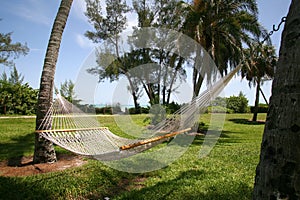 Hammock with Ocean View