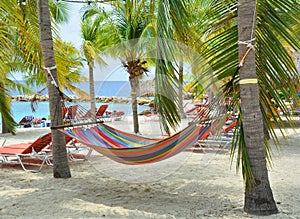 Hammock on palm trees