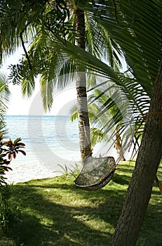 hammock on palm trees philippines beach