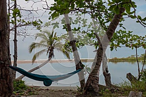 Hammock on palm trees  at `RÃÂ­o Ancho`, Dibulla, La Guajira - Colombia photo