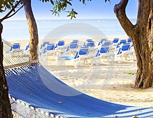 Hammock between palm trees and the sea